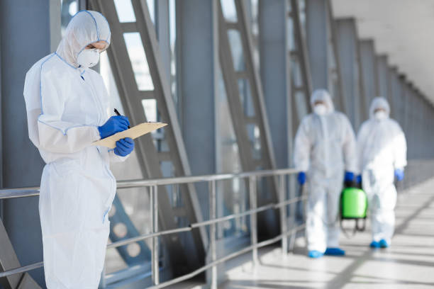 Best Mold Odor Removal Services  in Kenton, OH