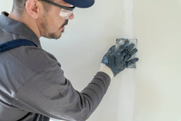 Best Mold Remediation for Healthcare Facilities  in Kenton, OH