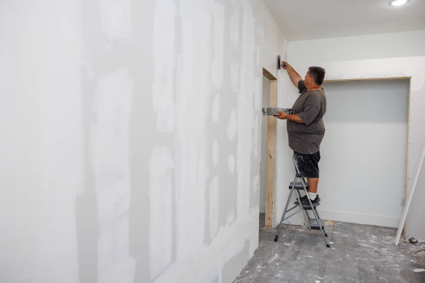 Best Water Damage & Mold Remediation  in Kenton, OH