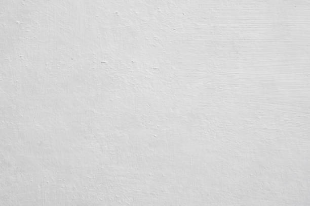 Best Commercial Mold Inspection  in Kenton, OH